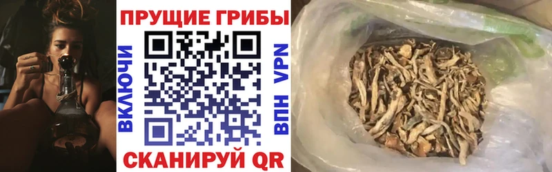 цены наркотик  omg   Псилоцибиновые грибы MAGIC MUSHROOMS  Котово 